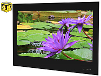 AVS430SM 43" Smart TV (schwarzer Rahmen)
